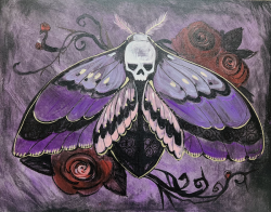 The image for THE SKULL MOTH