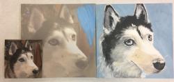 The image for Paint Your Pet's Portrait!