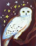 The image for Hedwig
