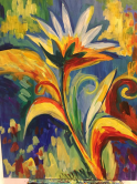 The image for THE BIRD OF PARADISE