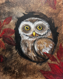 The image for THE OWL IN THE TRUNK